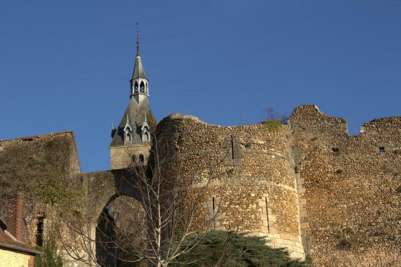 Gite "La Mesangerie" Villa Château-Renard Dış mekan fotoğraf