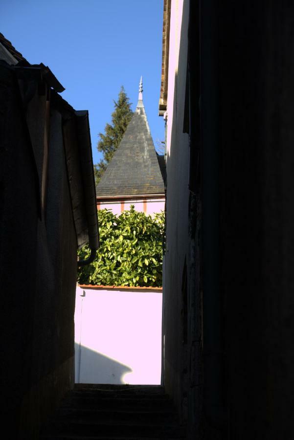 Gite "La Mesangerie" Villa Château-Renard Dış mekan fotoğraf